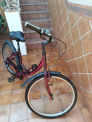 Bicicleta de ciudad yinxing