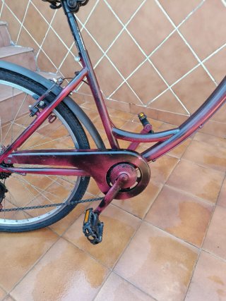 Bicicleta de ciudad yinxing