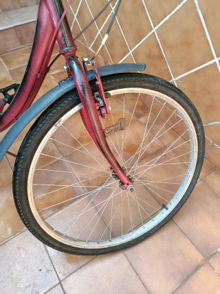 Bicicleta de ciudad yinxing