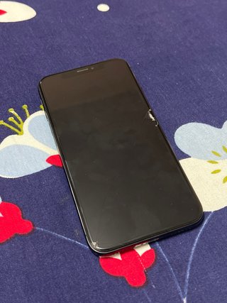 iPhone X