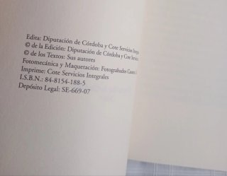 Mangas y Capirotes