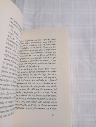 Mangas y Capirotes
