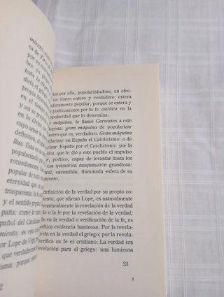 Mangas y Capirotes