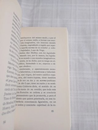 Mangas y Capirotes