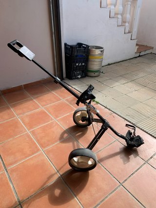 Carrito de golf plegable
