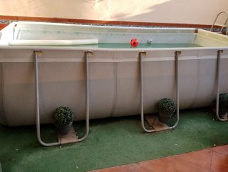 Piscina y accesorios de plástico