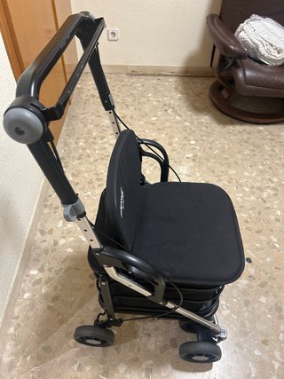 Carro compra Playcare con asiento