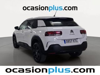 Citroen C4 Cactus PureTech 110 S&S Shine 81 kW (110 CV)