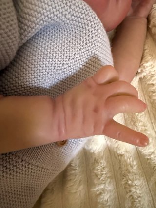 Muñeca Reborn