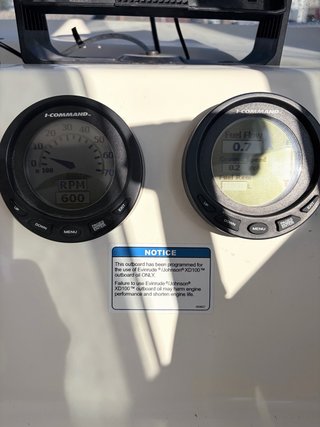 Motor fueraborda Evinrude E-tec 115hp
