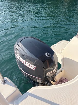 Motor fueraborda Evinrude E-tec 115hp