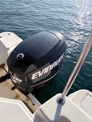 Motor fueraborda Evinrude E-tec 115hp