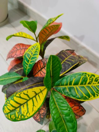Set 3 Plantas Artificiales Decorativas