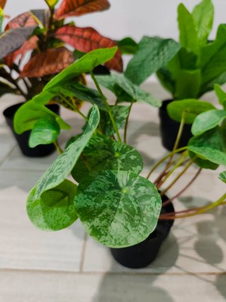 Set 3 Plantas Artificiales Decorativas