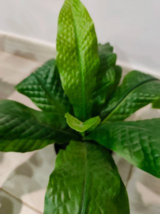 Set 3 Plantas Artificiales Decorativas