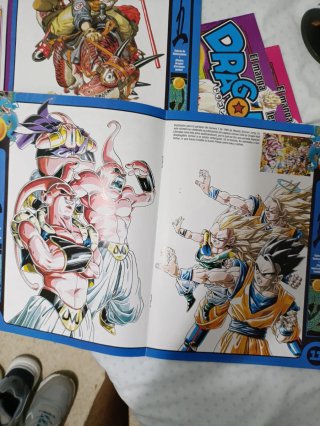 Pack: Colección Dragon Ball Z+ ilustraciones