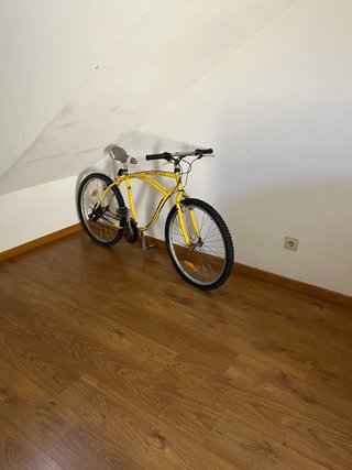 Bicicleta de montaña Boomerang