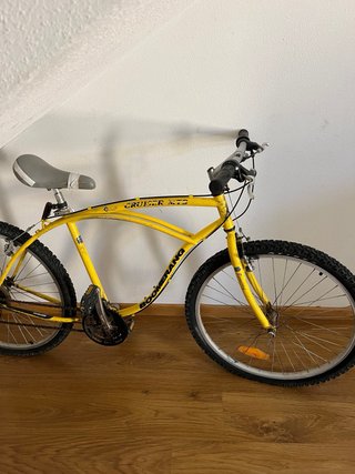 Bicicleta de montaña Boomerang