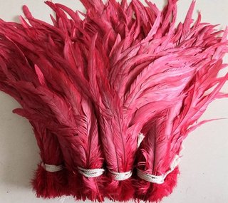 Plumas de cola de gallo