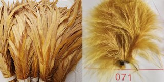 Plumas de cola de gallo