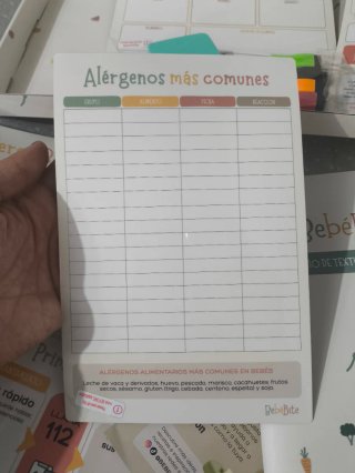Imanes Bebé Primeras Comidas BebéBite