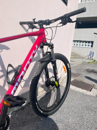 Bicicleta Monty KZ8