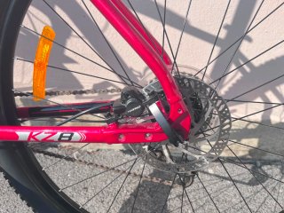 Bicicleta Monty KZ8