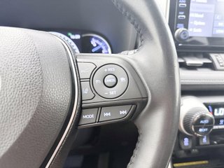 Toyota Rav4 2.5l hybrid Advance Plus 160 kW (218 CV)