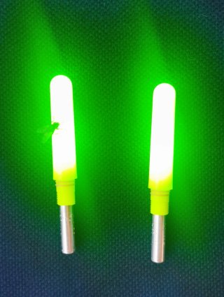 ✅ AVISADOR LUMINOSO DE PICADA DE PESCA‼️NUEVOS‼️