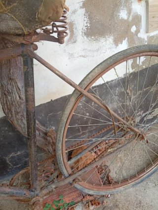 Bicicleta Orbea Clásica