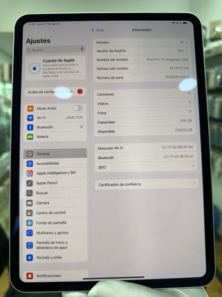 iPad Pro 11 M4 256GB Plata 8GB RAM 98% bat perfect