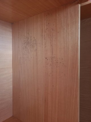 Conjunto dormitorio juvenil cama nido