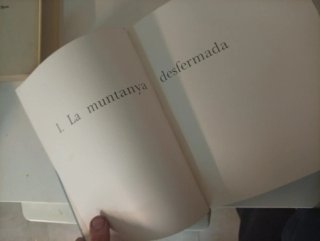 El Pirineu