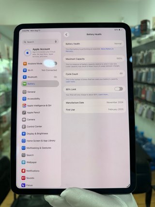 iPad Pro 11 M4 256GB Space Gray 100% bat perfecto