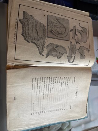 Libro antiguo Enciclopedia tercer grado