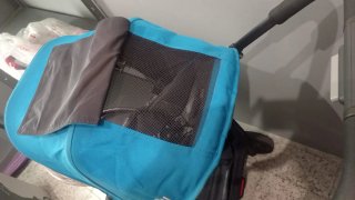 Silla de paseo UPPAbaby Cruz