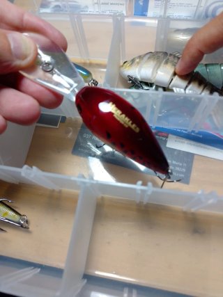 Lote señuelos pesca depredadores