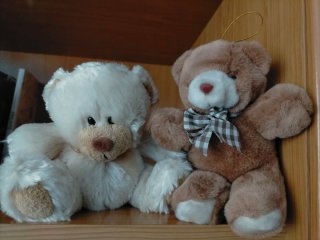Lote 2 ositos peluche