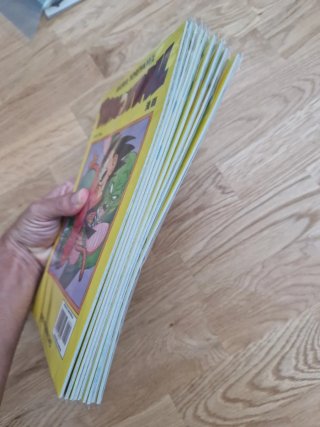 Lote Comics Dragon Ball