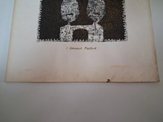 Vinilo Andy Summers Robert Fripp I Advance Masked