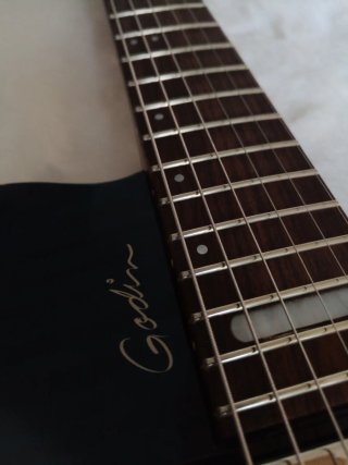 Godin LG Signature AA Transblue Seymour Duncan