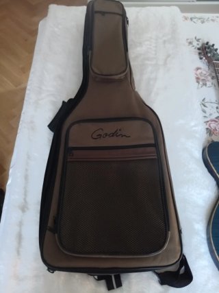 Godin LG Signature AA Transblue Seymour Duncan