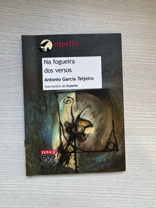 Lote Libros de Literatura Gallega - ESO/Bachiller