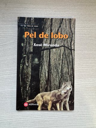 Lote Libros de Literatura Gallega - ESO/Bachiller