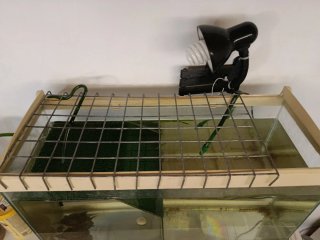 Acuario 90L buenas condiciones SOLO ACUARIO
