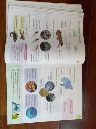Ciencias de la Naturaleza 3 Primaria : Comunida...