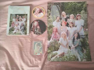 More & More C ver.