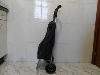 CARRO DE LA COMPRA POR 10 EUROS