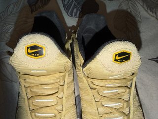 Nike Air Max Plus TN Talla 42 Wheat/Gold