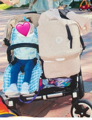 Carro gemelar Bugaboo